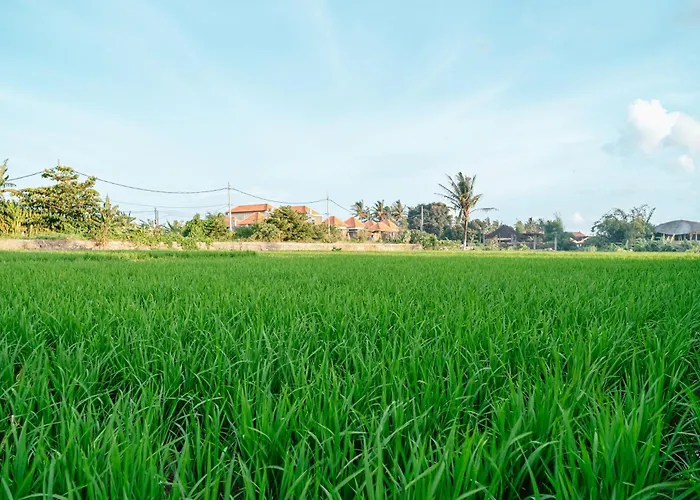 Meliora Bali فيلة